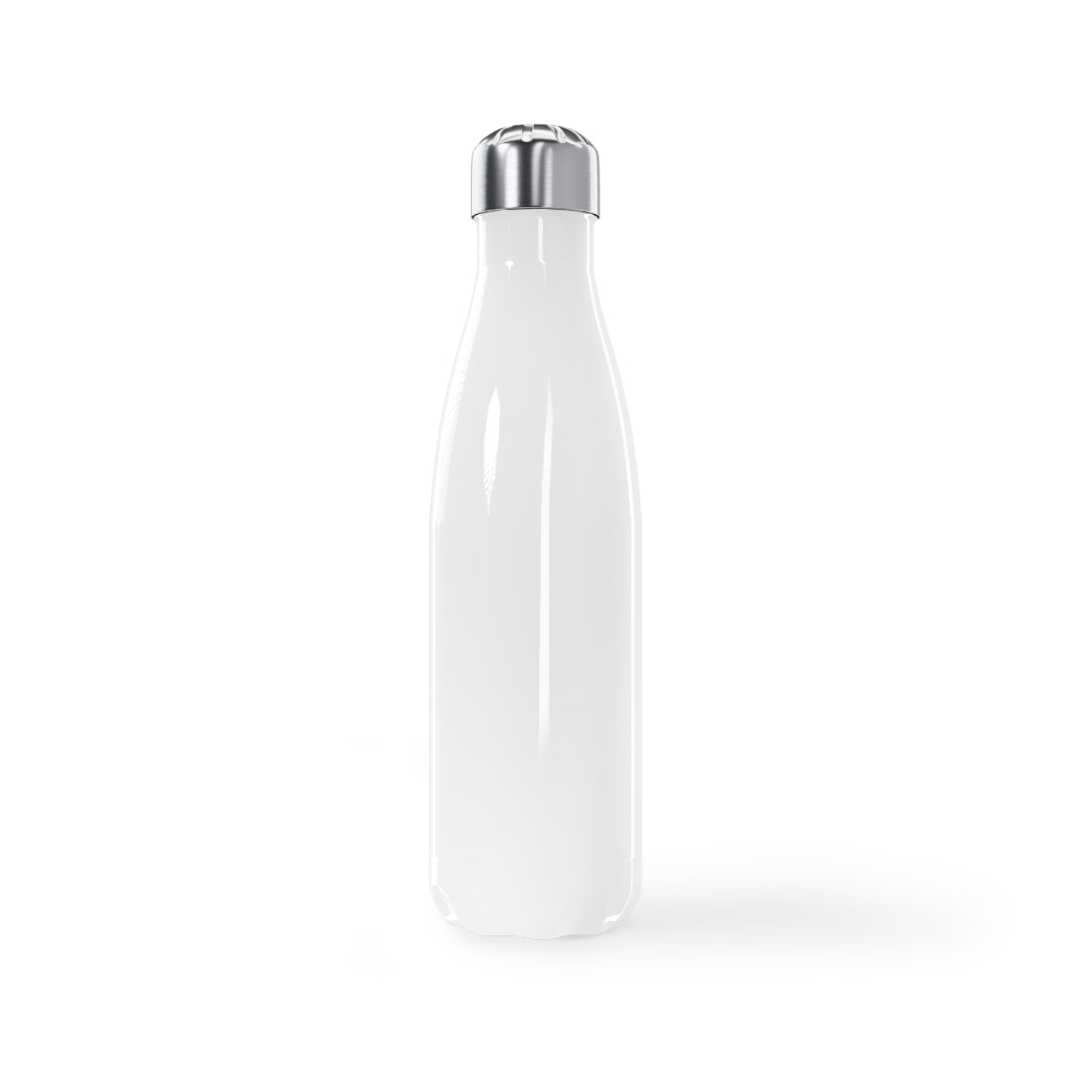 Stainless Steel Water Bottle, 17oz