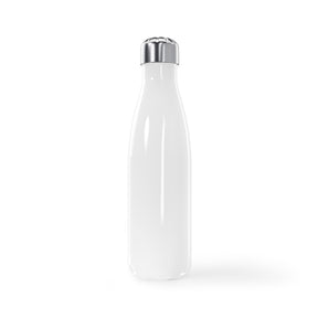 Stainless Steel Water Bottle, 17oz